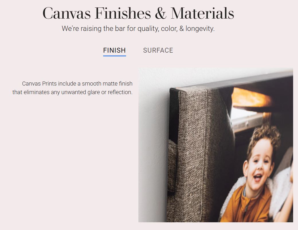 Cowhide Patterns Canvas Print