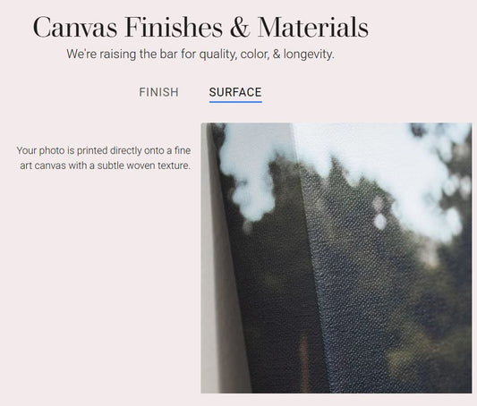 Cowhide Patterns #2 Canvas Print