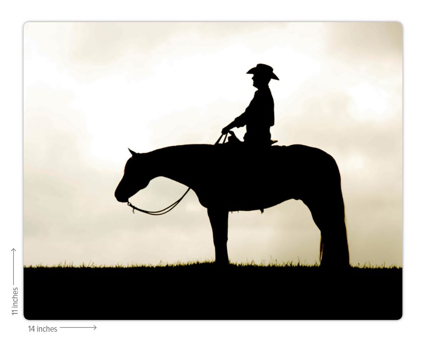 Cowboy Silhouette Metal Print