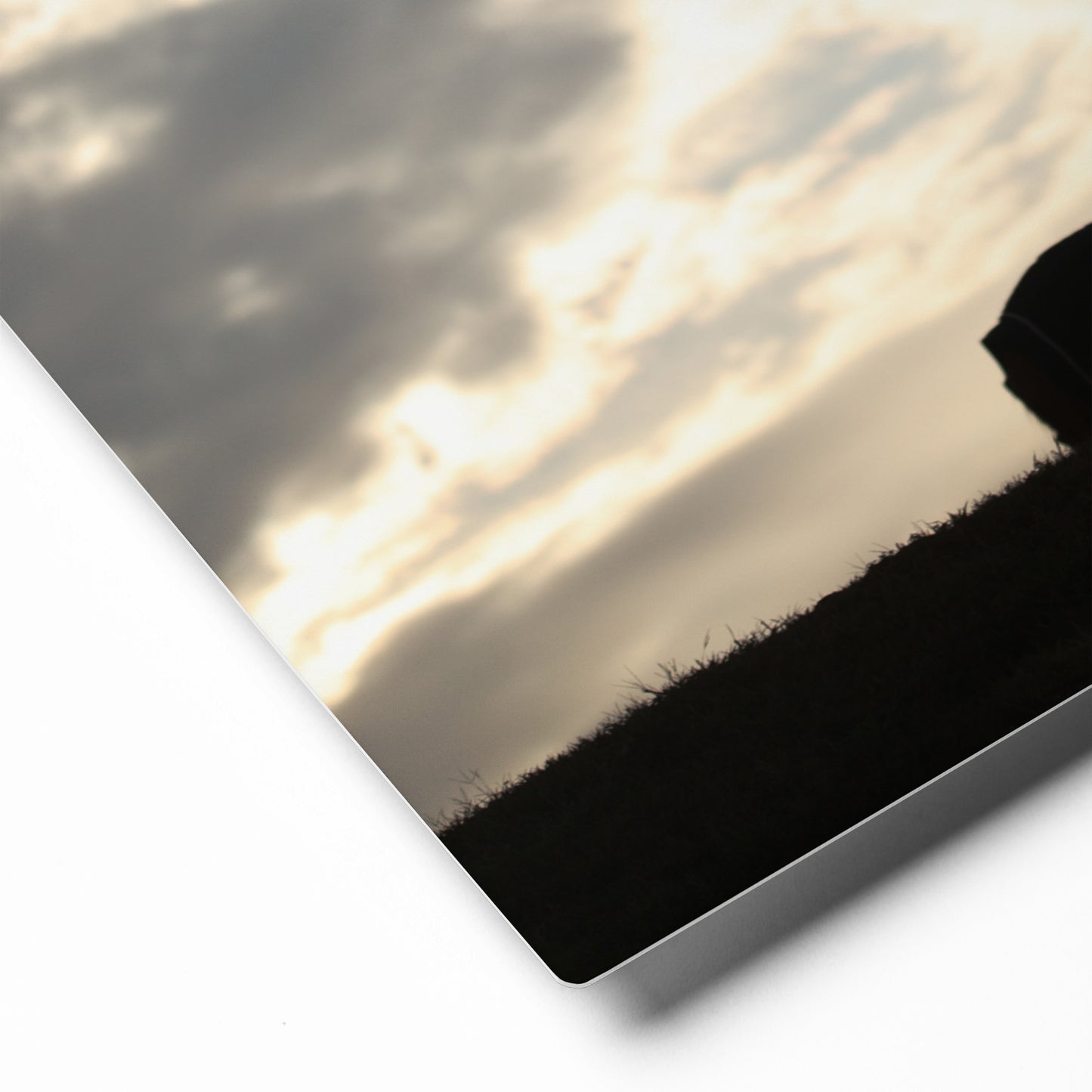 Horse on the Hill Silhouette | Canvas Wall Art | Equestrian Home Decor