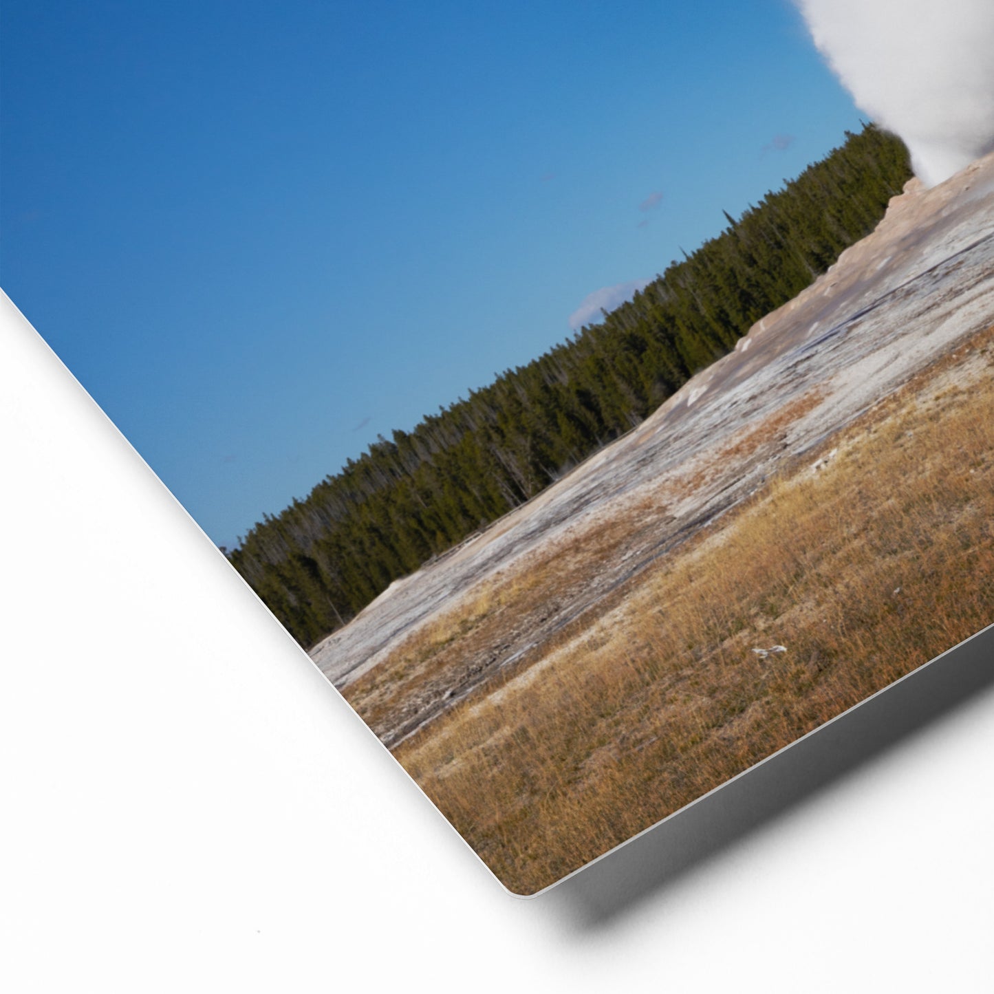 Old Faithful Geyser | Yellowstone National Park | AirBnB Decor, Canvas Wall Art