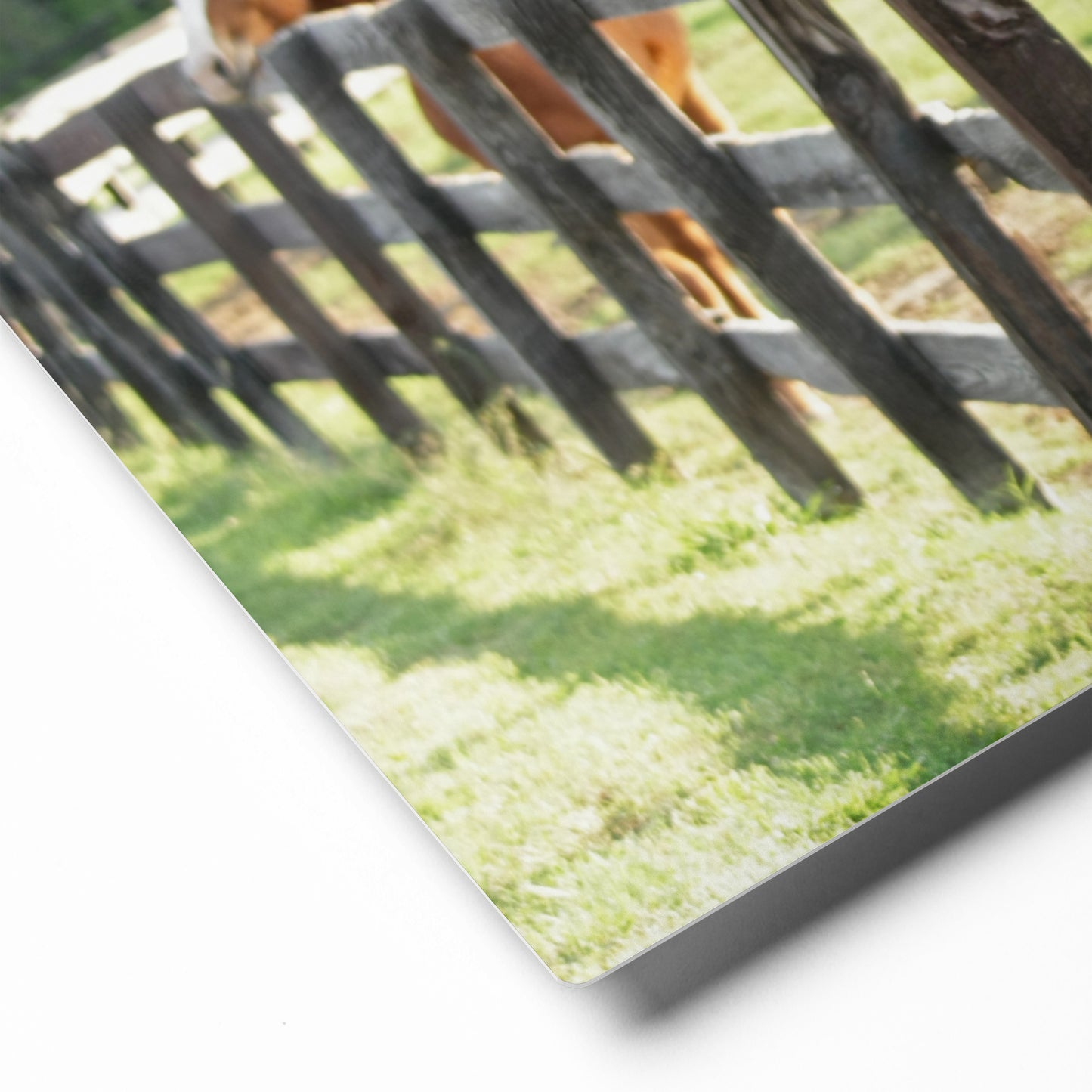 Morning Greeting Equestrian Wall Art | Farmhouse Decor