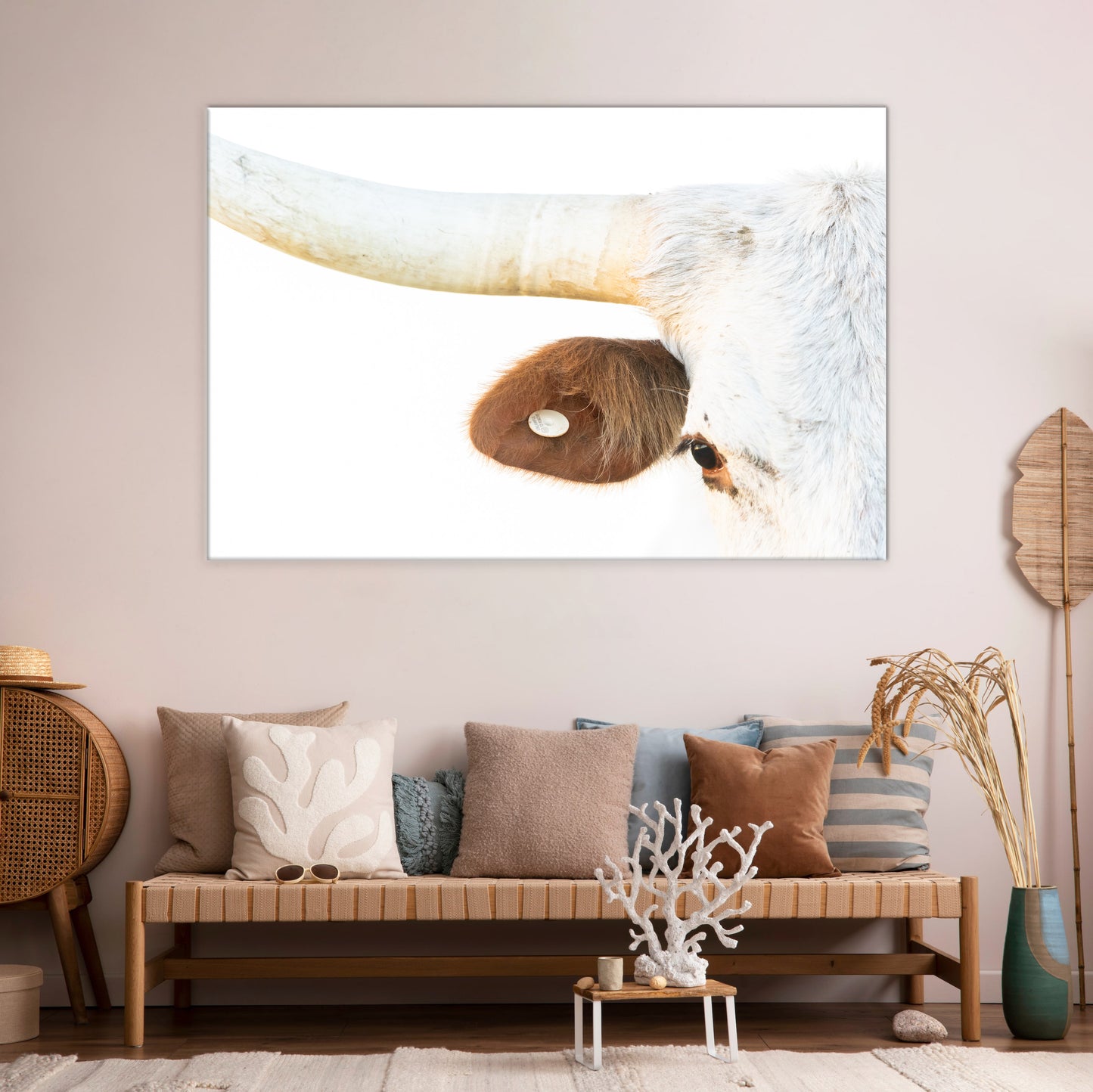 White Longhorn Cow Close Up Original Photography Wall Art