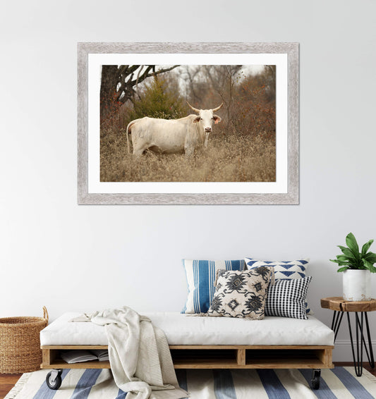 Blonde Brindle Cow Framed Print with 2" Mat