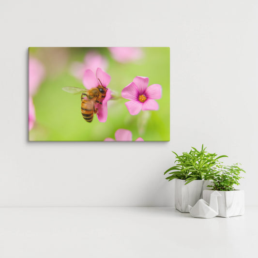 Bumblebee Wall Art, Garden Lover, Floral Wildlife Home Decor