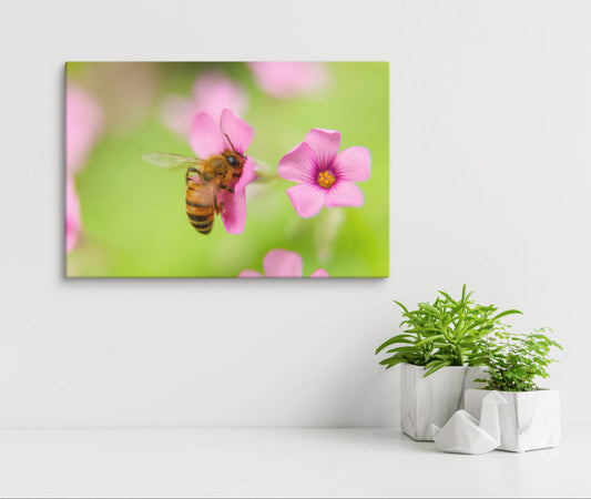 Bumblebee Wall Art, Garden, Flowers Decor