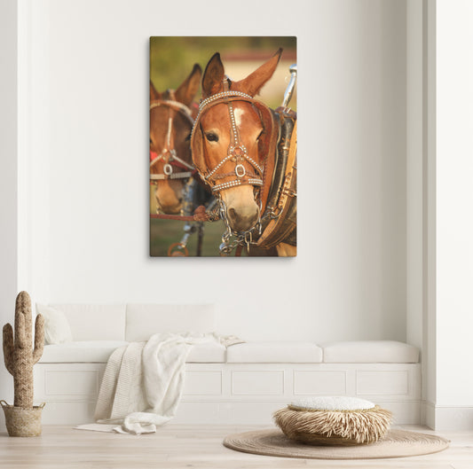 Mule Team Canvas Photo Wall Art | Western Farmhouse Rustic Home Decor