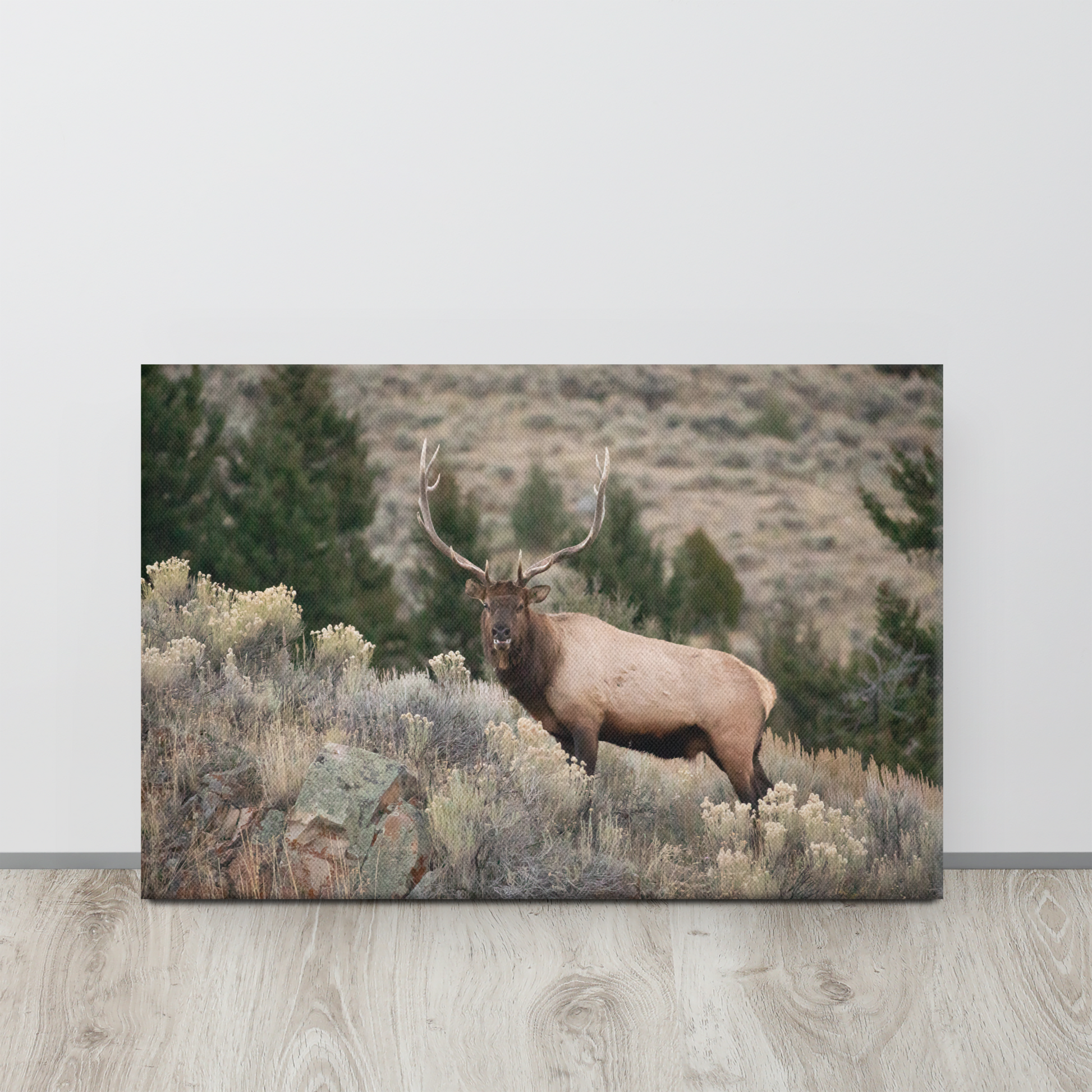 elk wall art, bull elk, rut, hunting cabin, lodge, AirBnB, home decor, gifts for hunters, gifts for him, man cave.