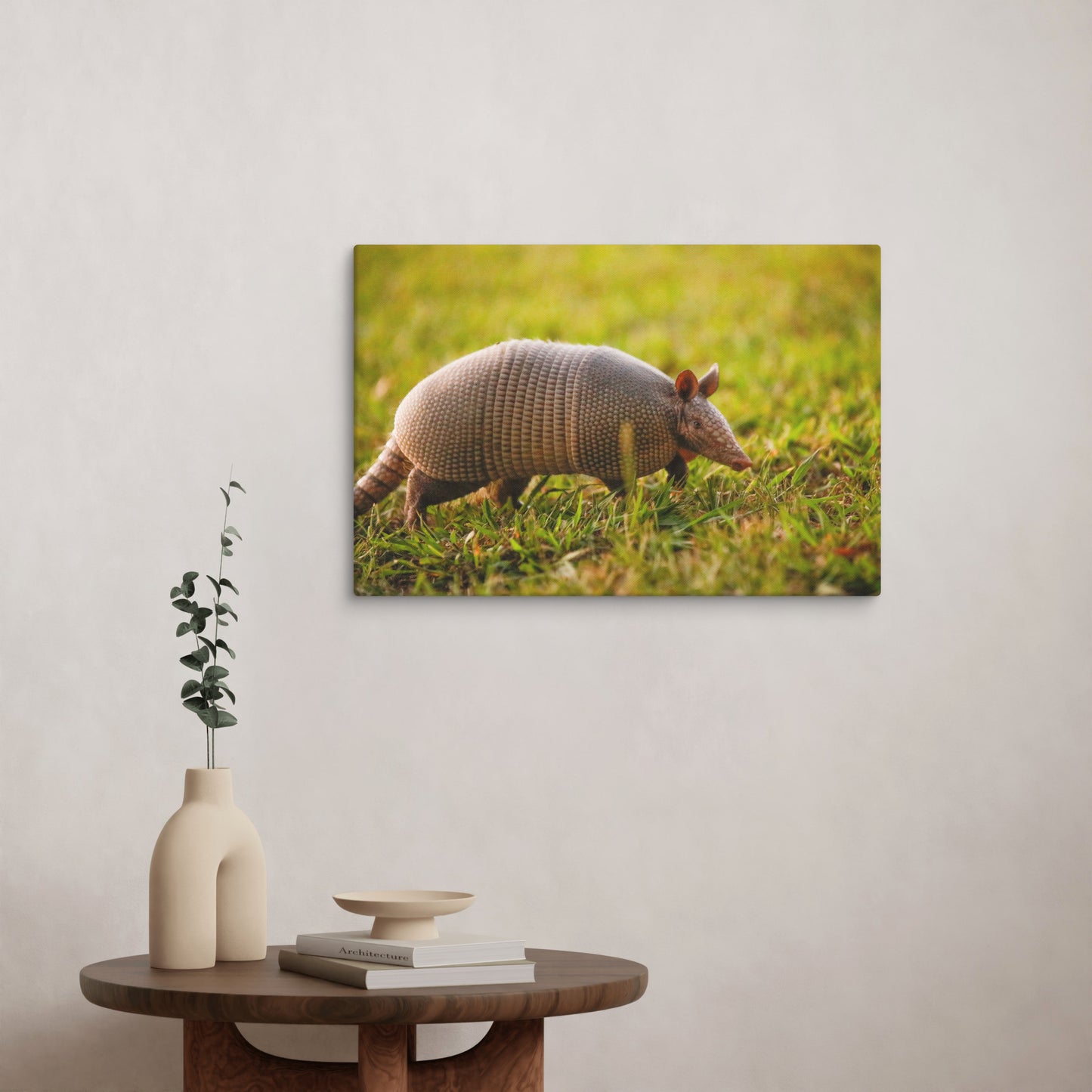 Armadillo Canvas Wall Art | Western Home Decor