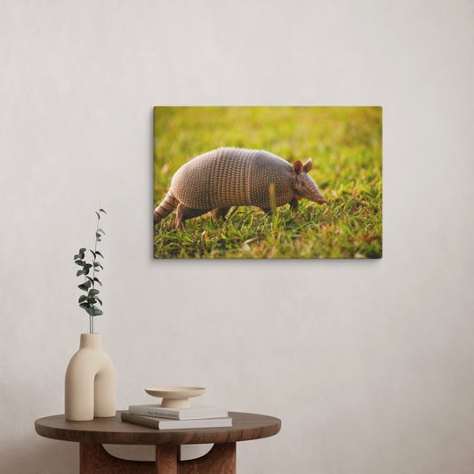 Armadillo Canvas Wall Art | Western Home Decor
