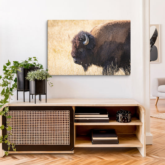 Bison Wall Art | Yellowstone Buffalo, Wildlife AirBnB Decor