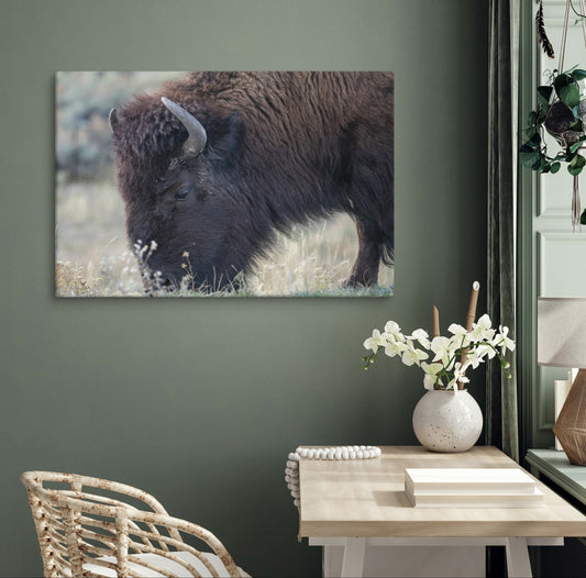 Bison Up Close Wall Art, Wildlife Photography Home Decor