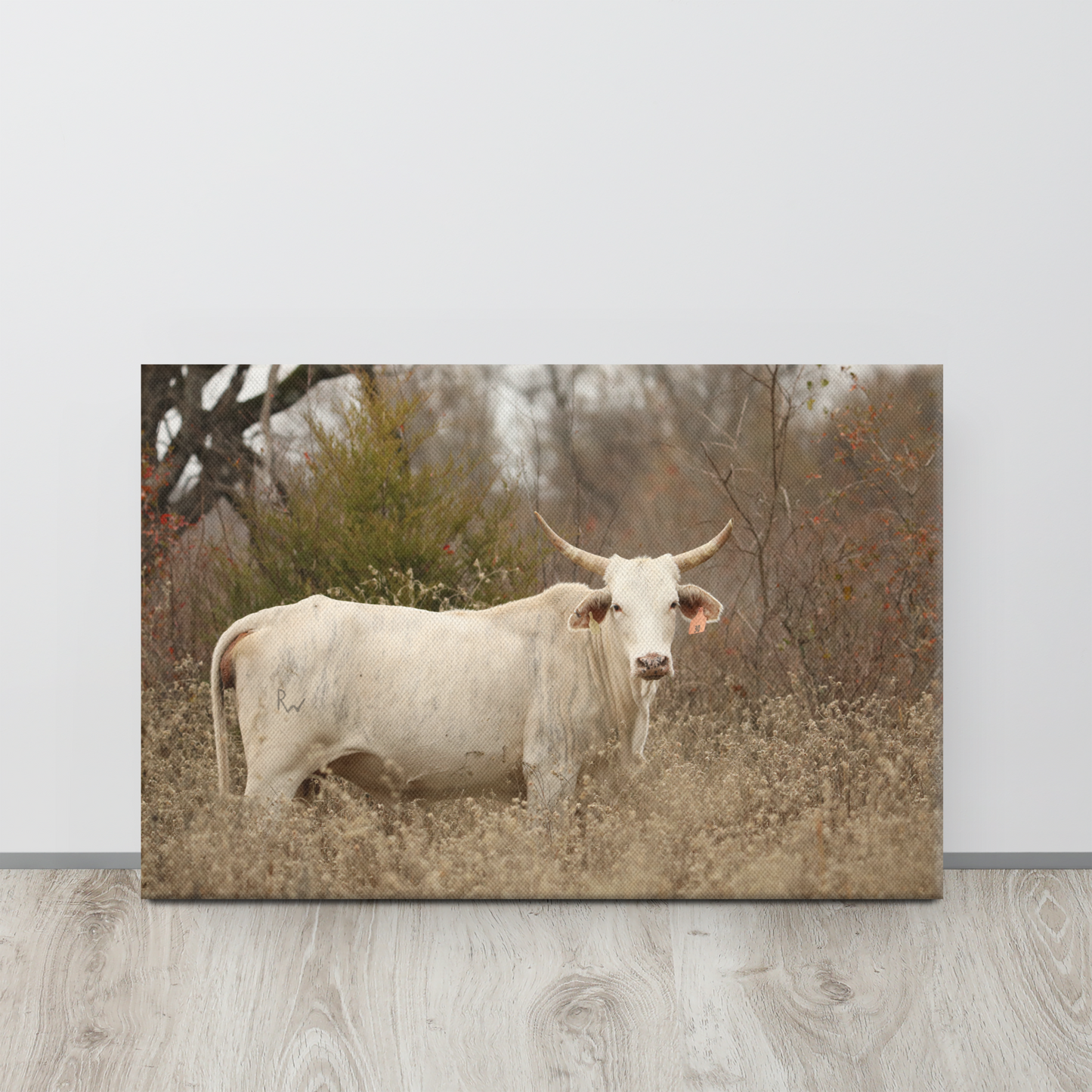 Blonde Brindle Cow Canvas Farmhouse Decor Western Wall Art