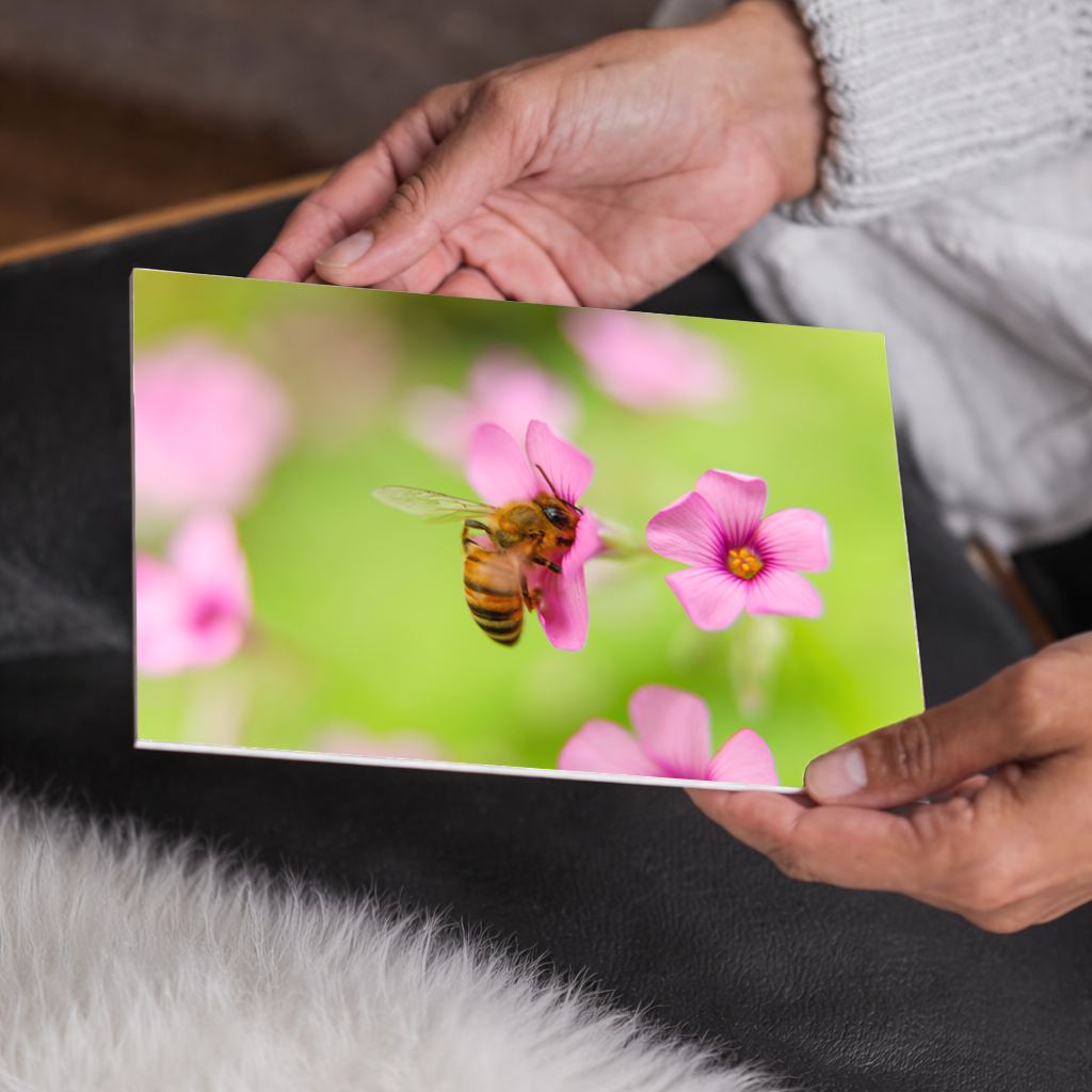 Bumblebee Wall Art, Garden, Flowers Decor