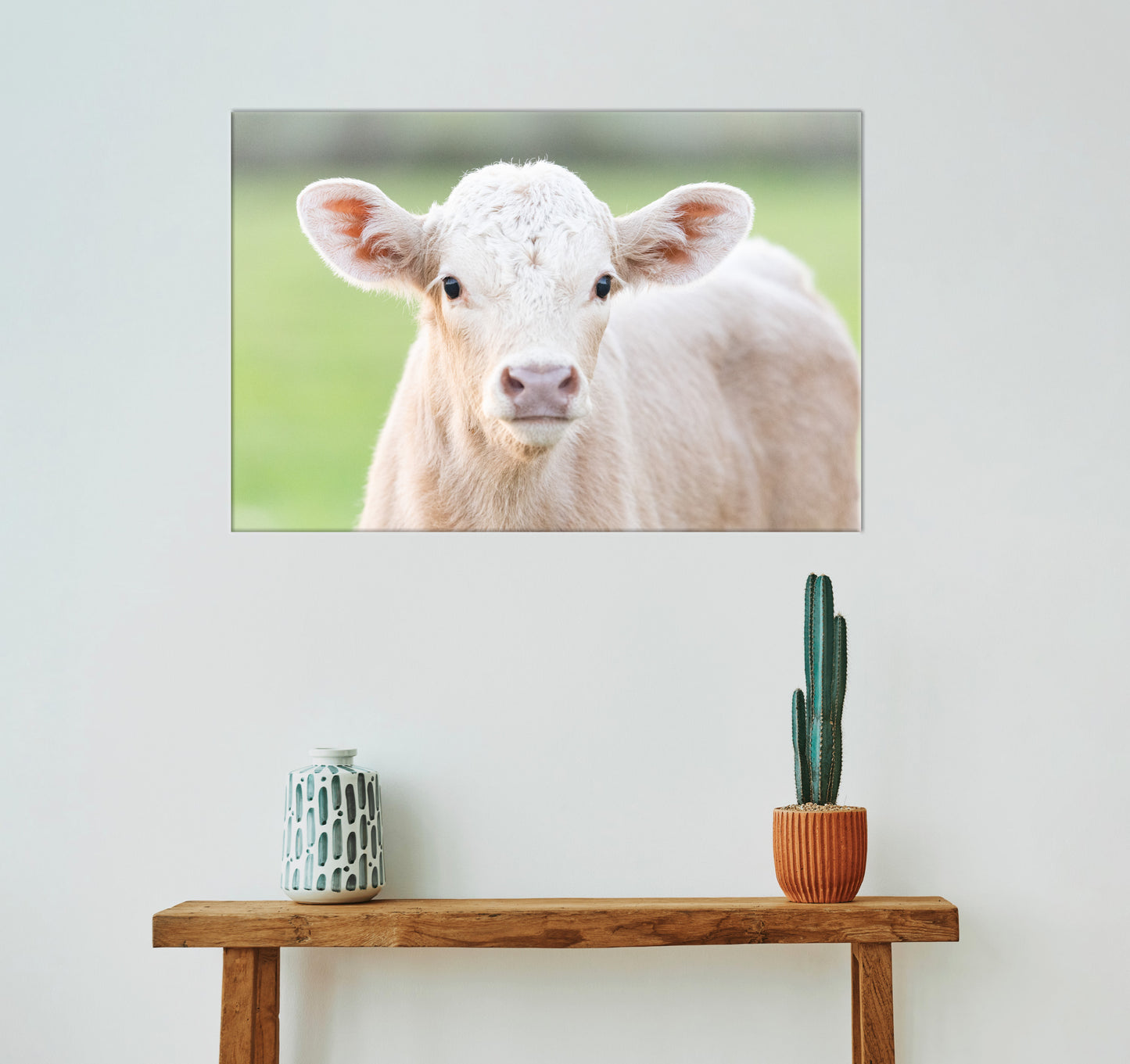 Charolais Calf Canvas Wall Art | Western Farmhouse Decor