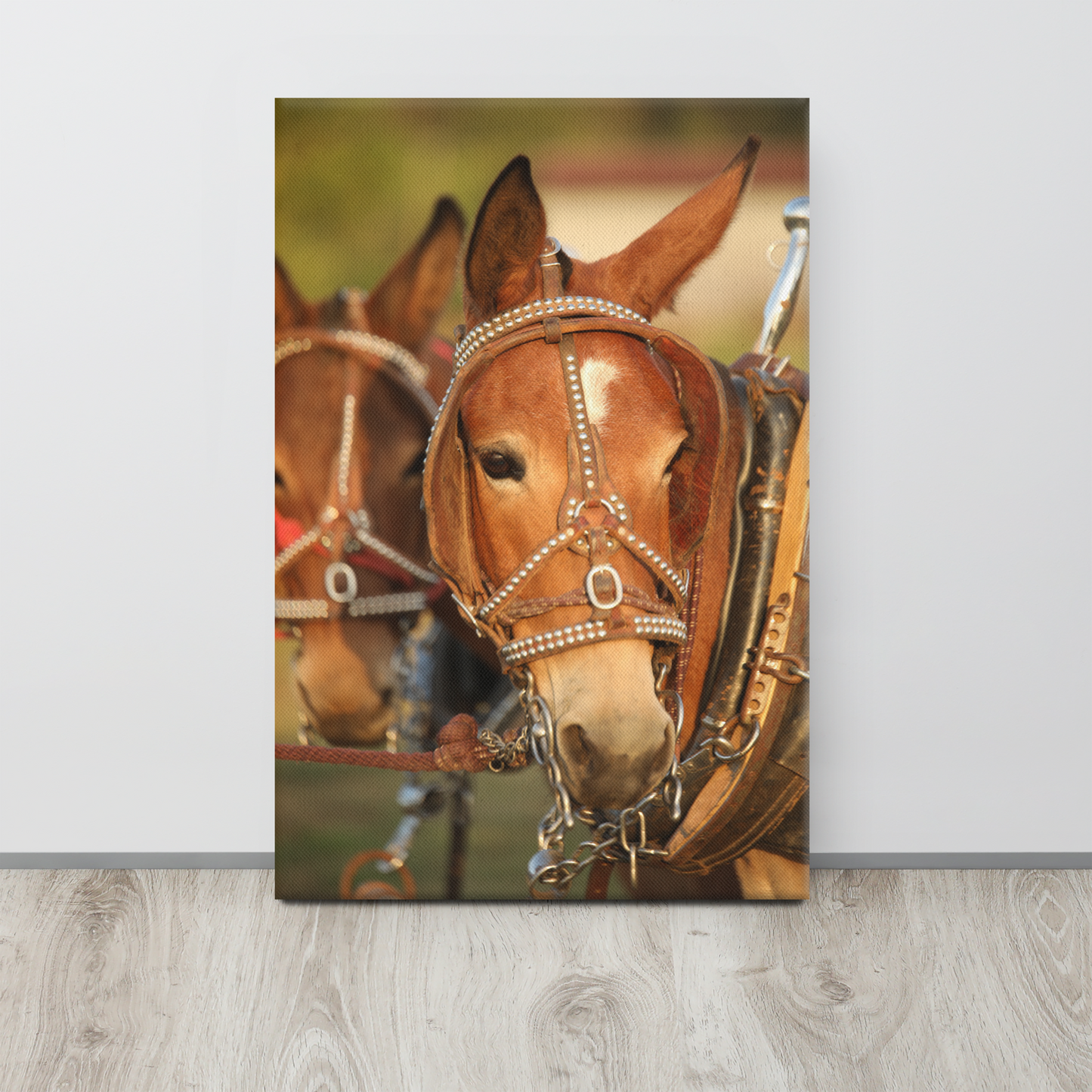 Mule Team Canvas Photo Wall Art | Western Farmhouse Rustic Home Decor