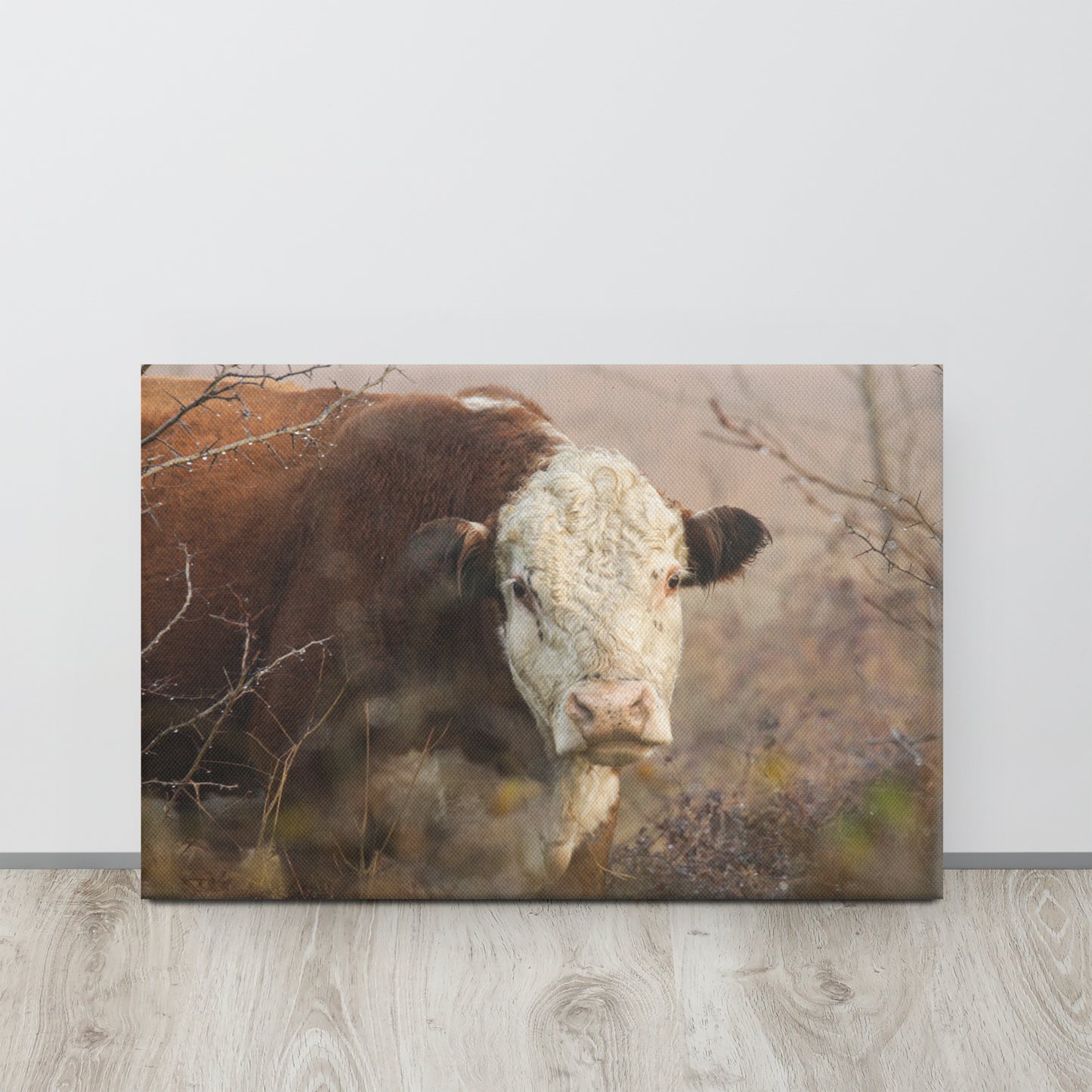 Hereford Bull Wall Art | Modern Farmhouse Cattle Decor, Western Interior Design