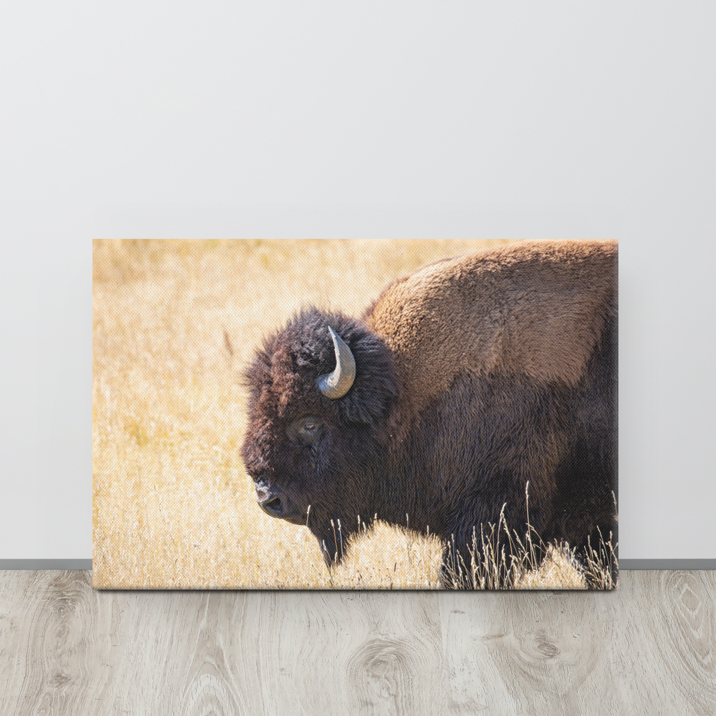 Bison Wall Art | Yellowstone Buffalo, Wildlife AirBnB Decor
