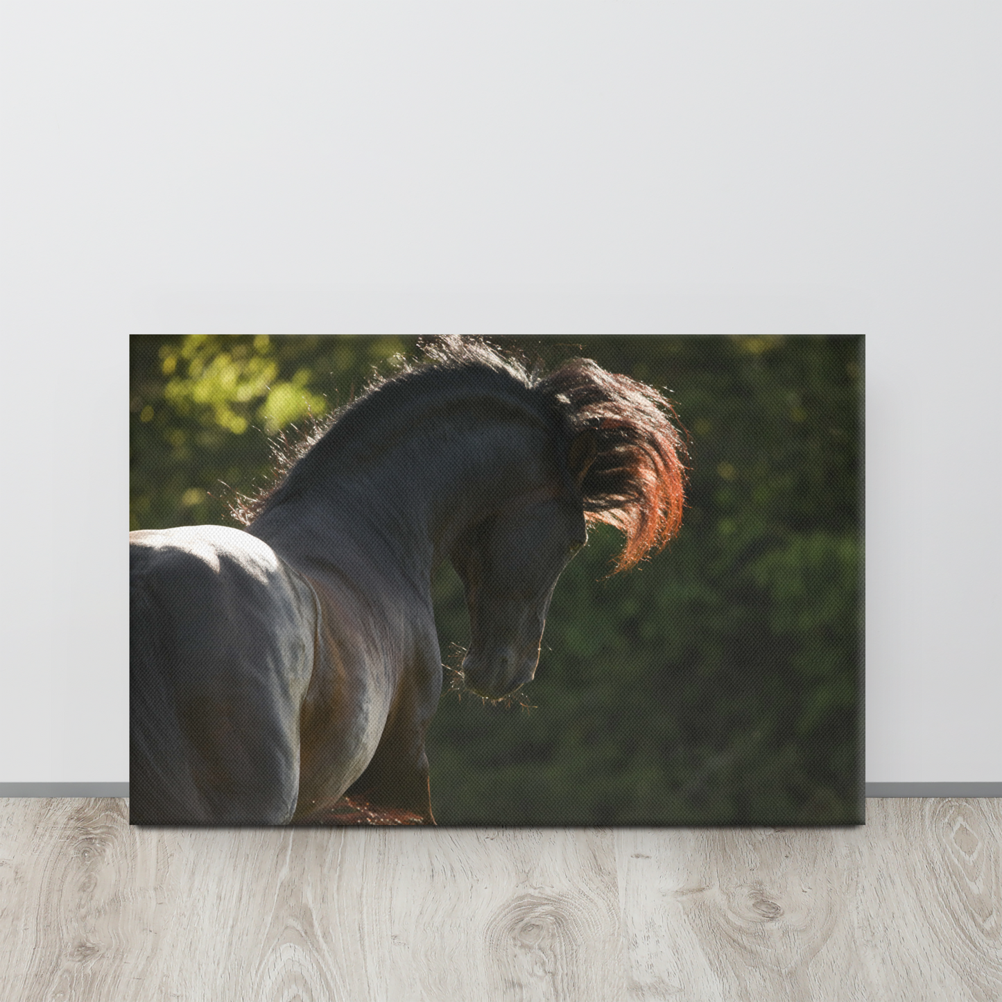Equine Wall Art, Beautiful Horse Canvas Decor