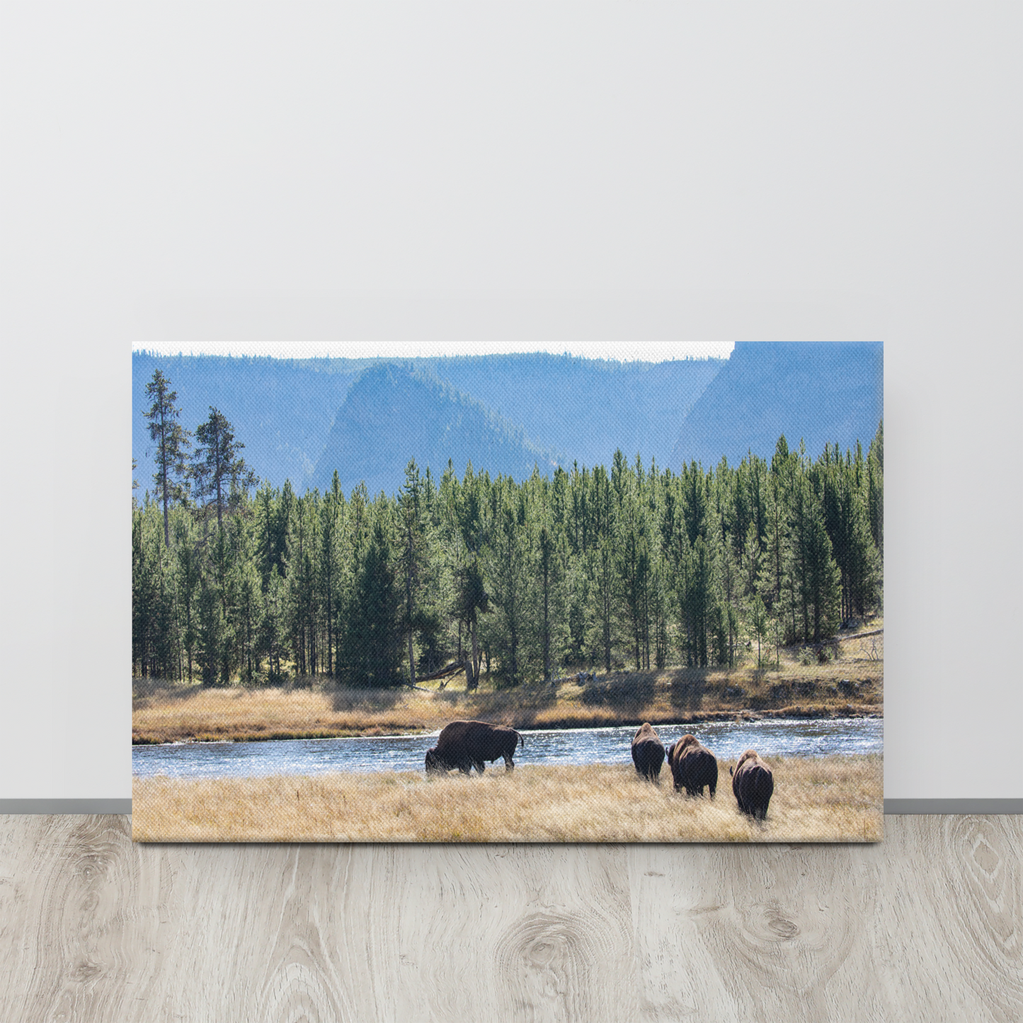 Buffalo by the River Canvas Wall Art