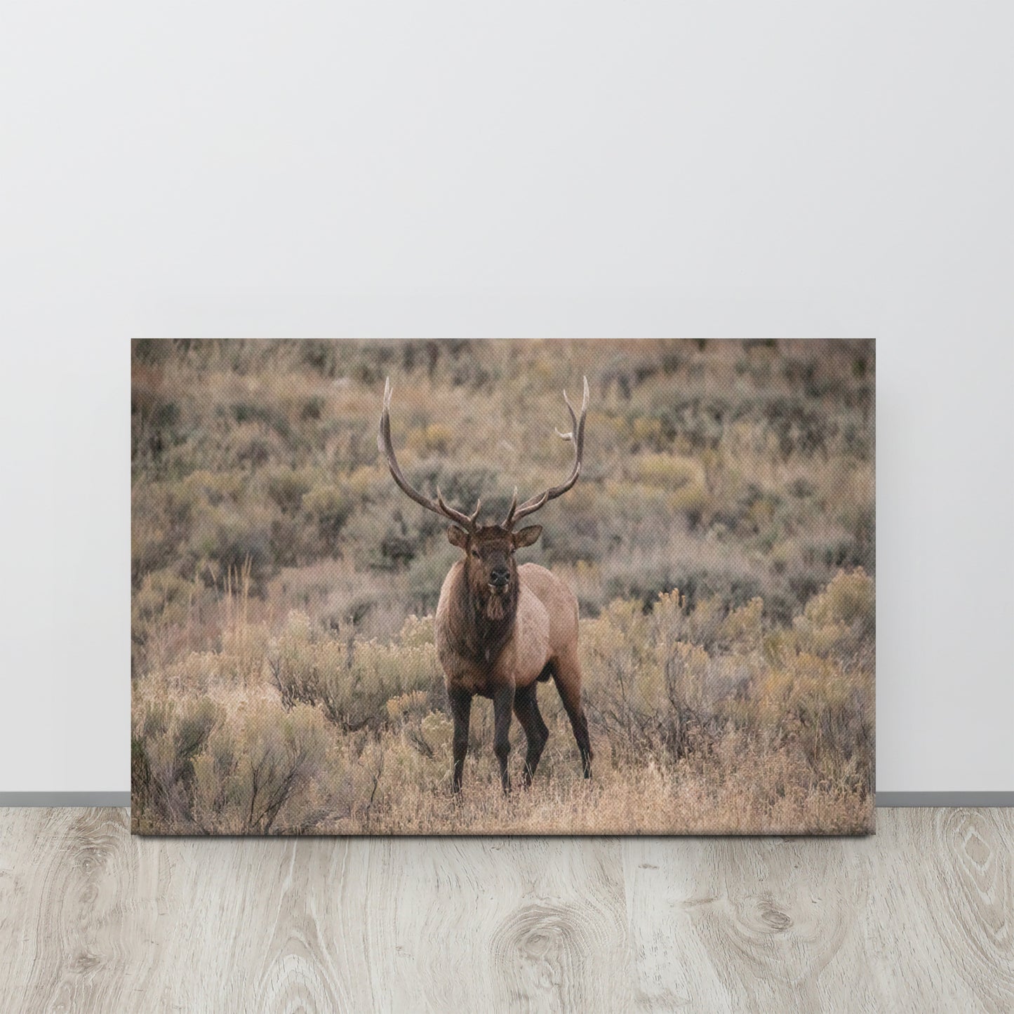 The Stare Down | Bull Elk Original Photography | Yellowstone AirBnB Decor