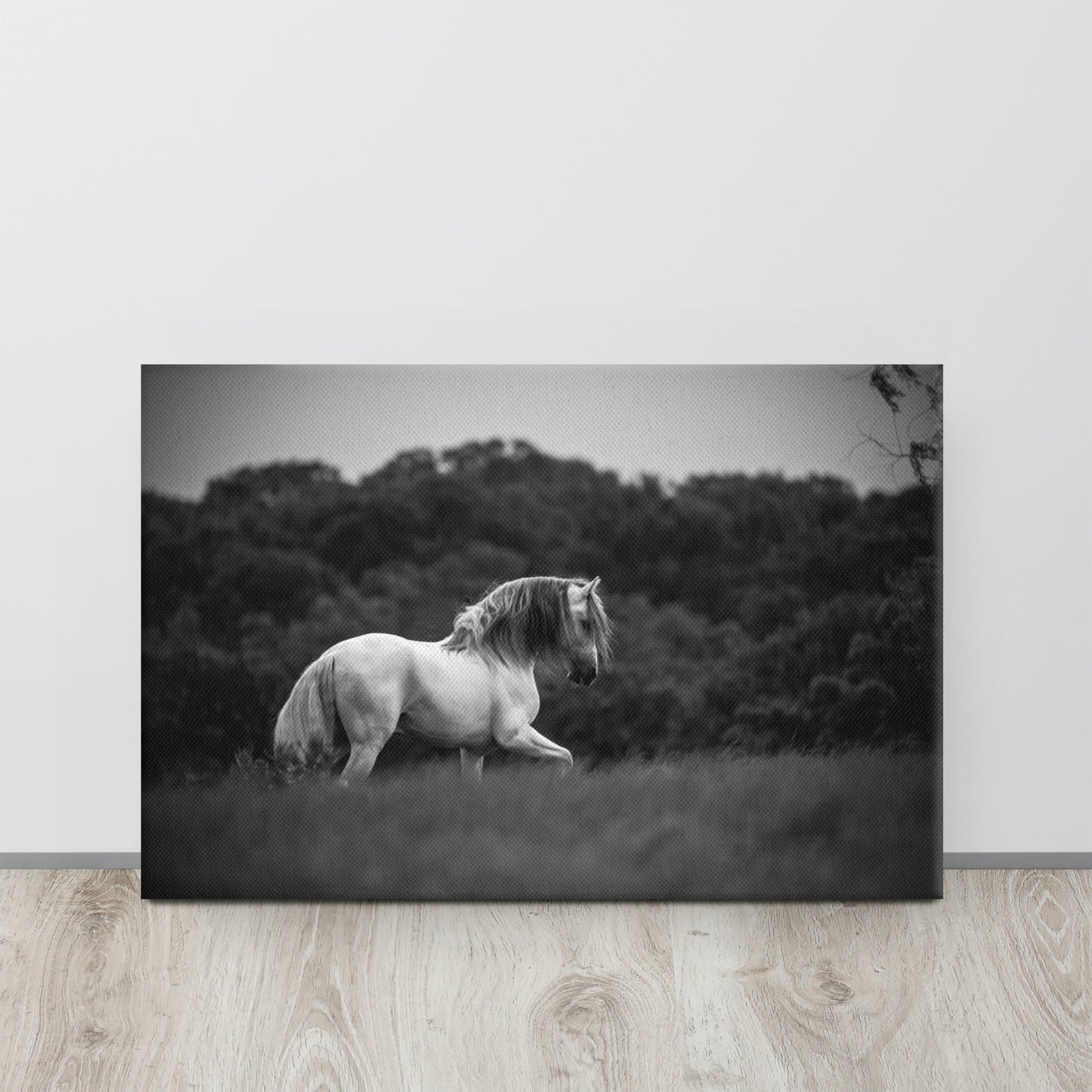 Grey Prancer | Beautiful Horse Wall Art | Black and White | Original Photography Home Decor