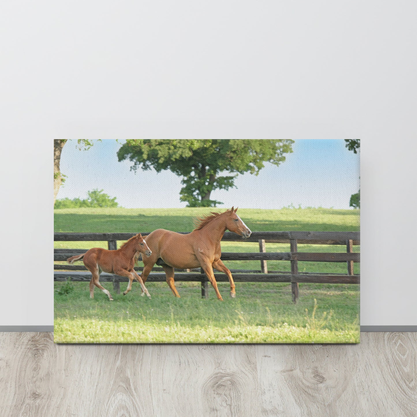 Mare and Foal Running | Beautiful Horse Canvas Wall Art | Equestrian Home Decor