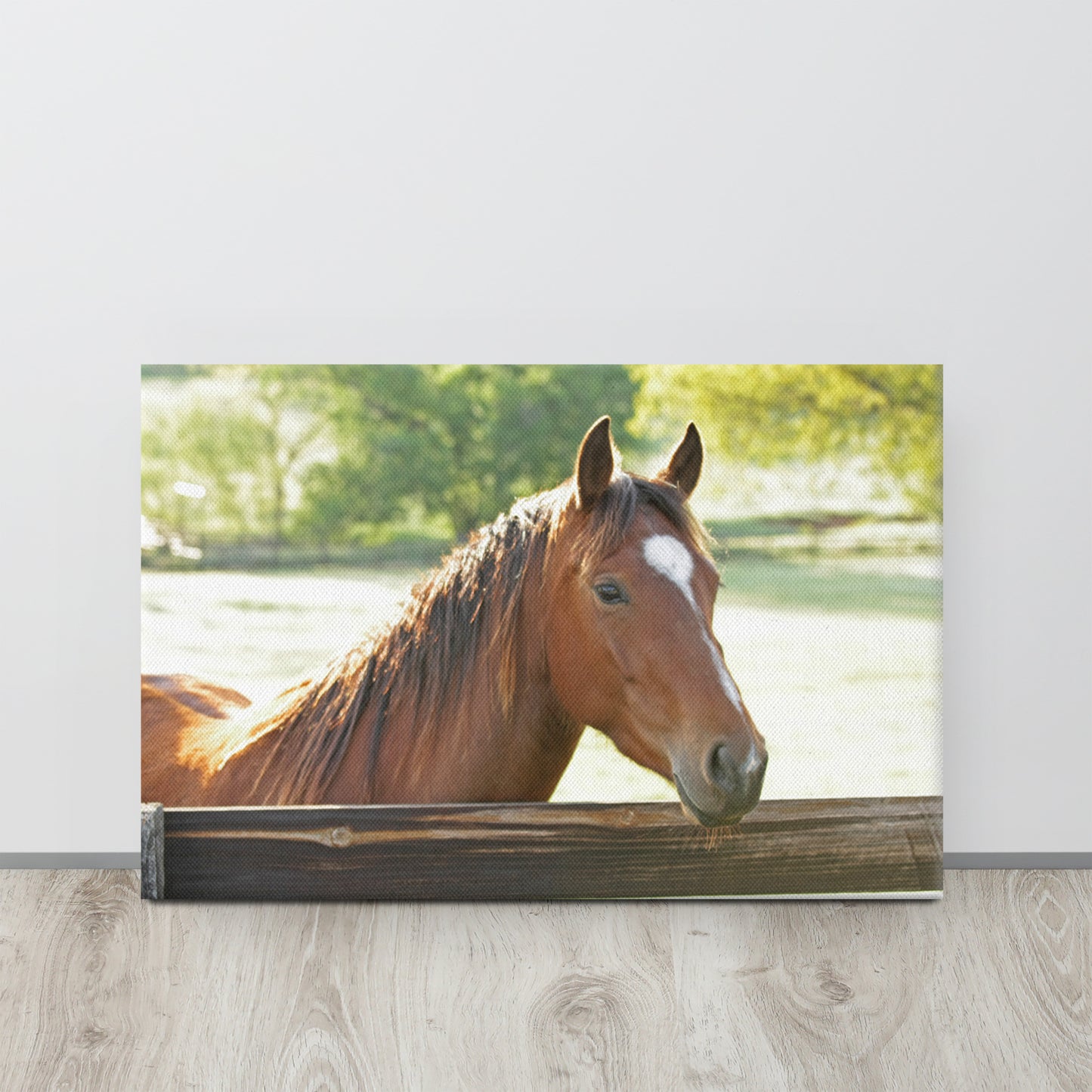 Pretty Bay Horse Wall Art | Farmhouse Home Decor