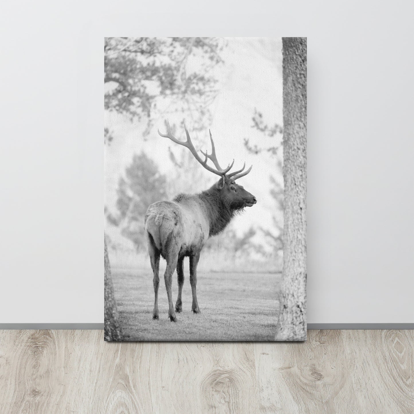 Yellowstone Elk in Black and White | Wildlife Photography, Wall Art