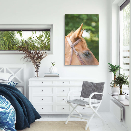 Chestnut horse canvas wall art, original, photography