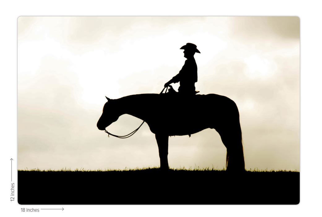 Cowboy Silhouette Metal Print