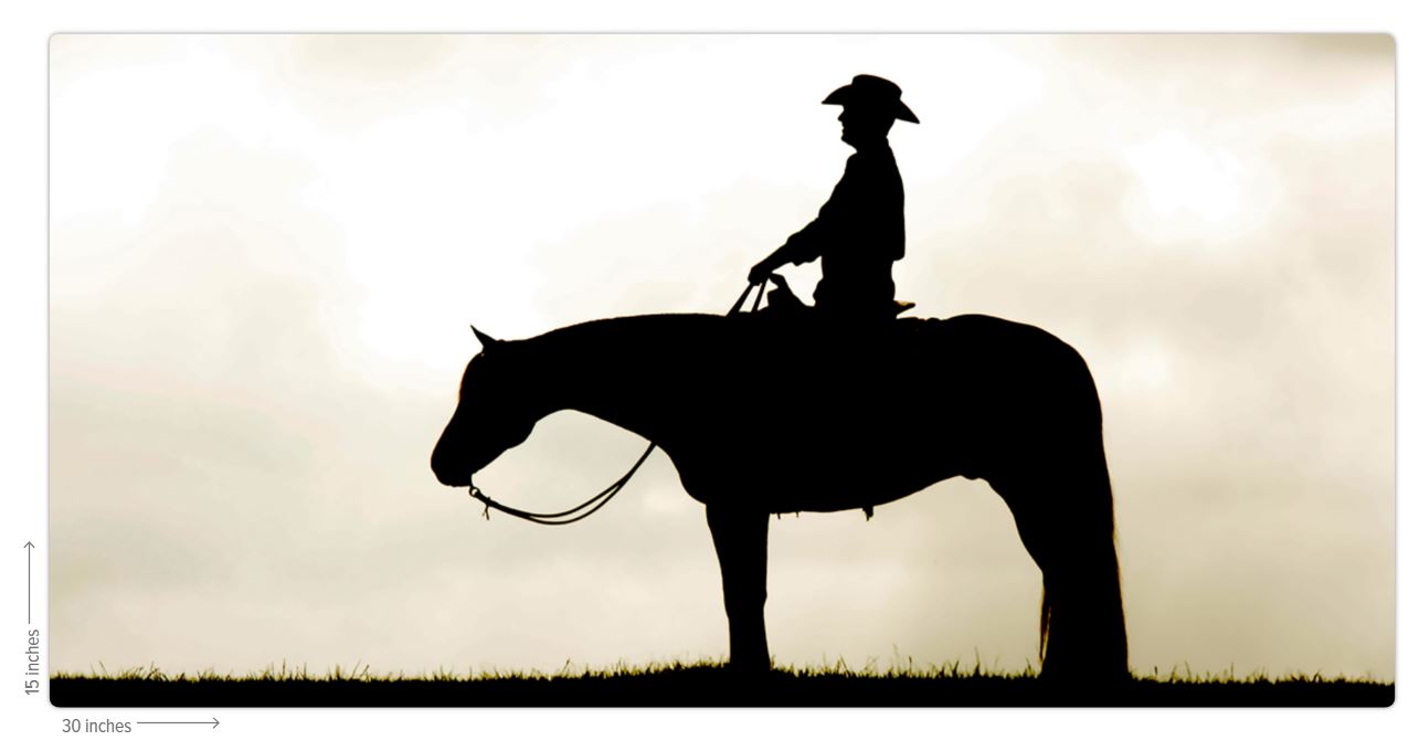 Cowboy Silhouette Metal Print