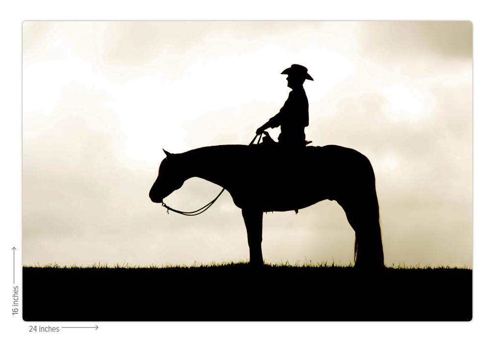 Cowboy Silhouette Metal Print