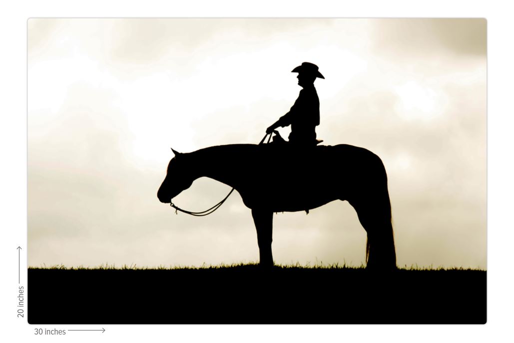 Cowboy Silhouette Metal Print
