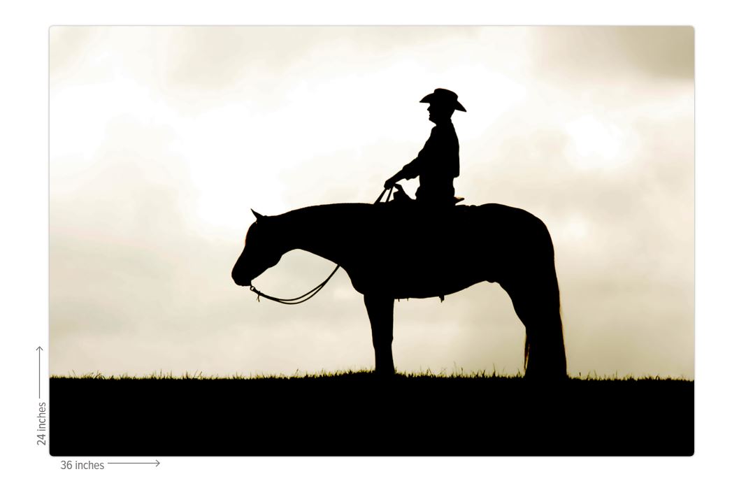 Cowboy Silhouette Metal Print