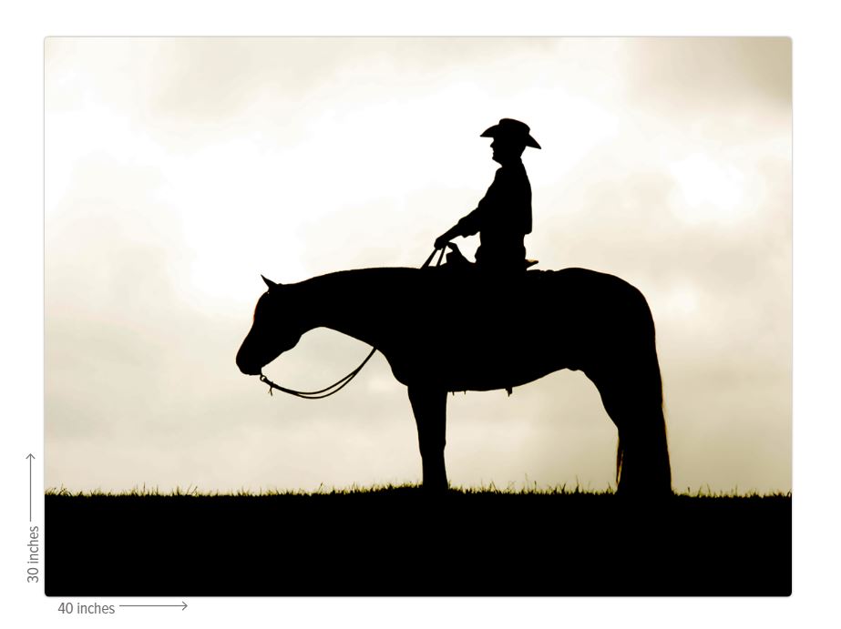 Cowboy Silhouette Metal Print