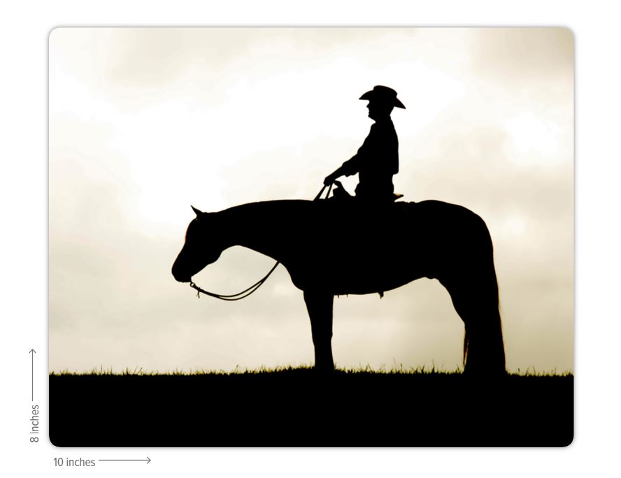 Cowboy Silhouette Metal Print