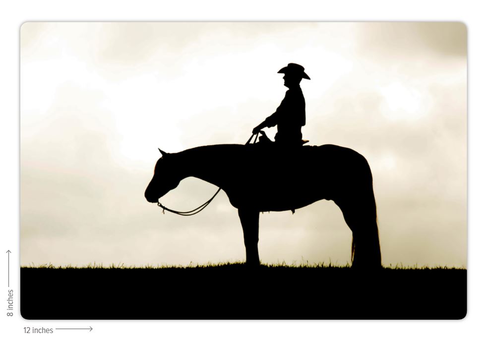 Cowboy Silhouette Metal Print