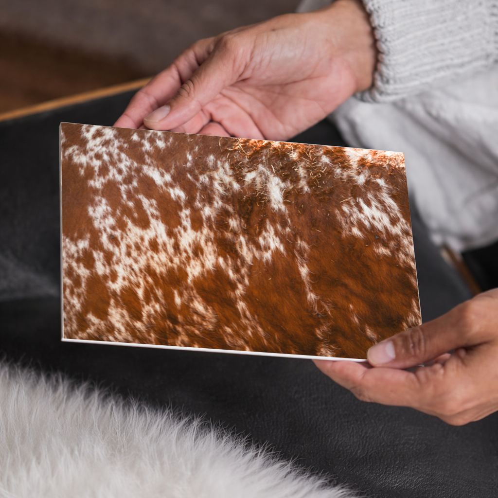 Red and White Cowhide Rustic Western Canvas Wall Art Farmhouse Decor