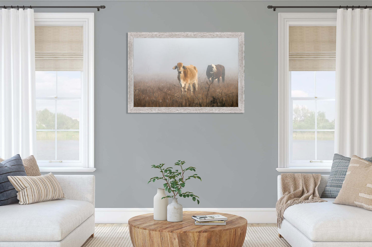 Cows in the Fog Framed Print
