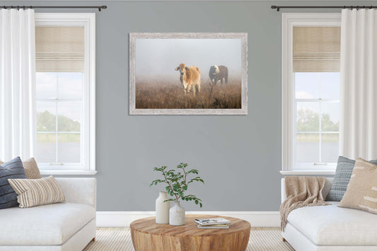 Cows in the Fog Framed Print