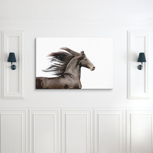 Friesian horse running canvas wall art, equestrian home decor, original, photography