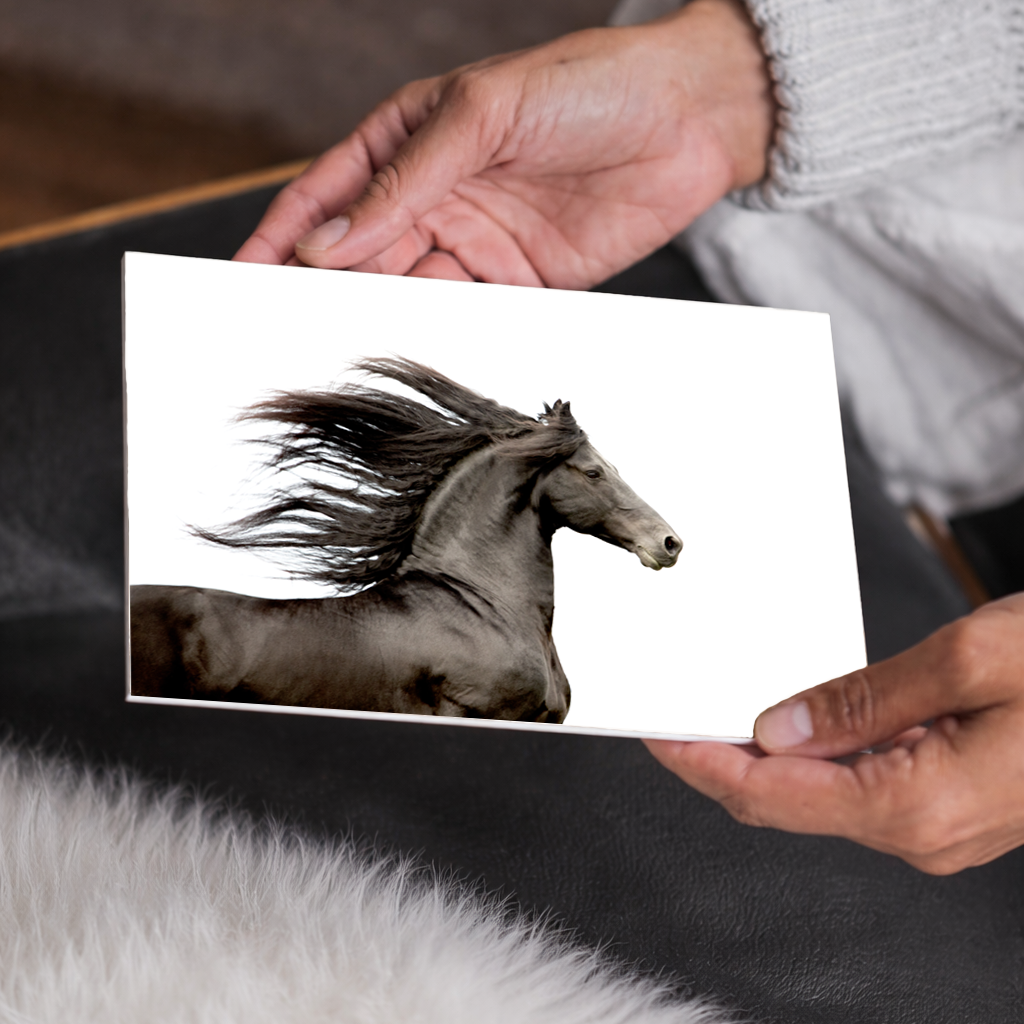 Friesian Horse Black and White Equine Original Wall Art