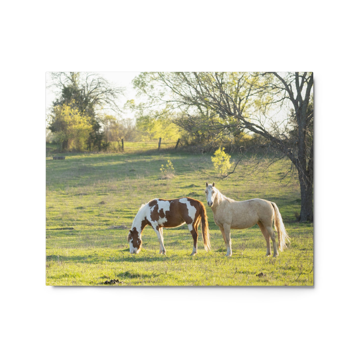 Horses in the Field Farmhouse Wall Art