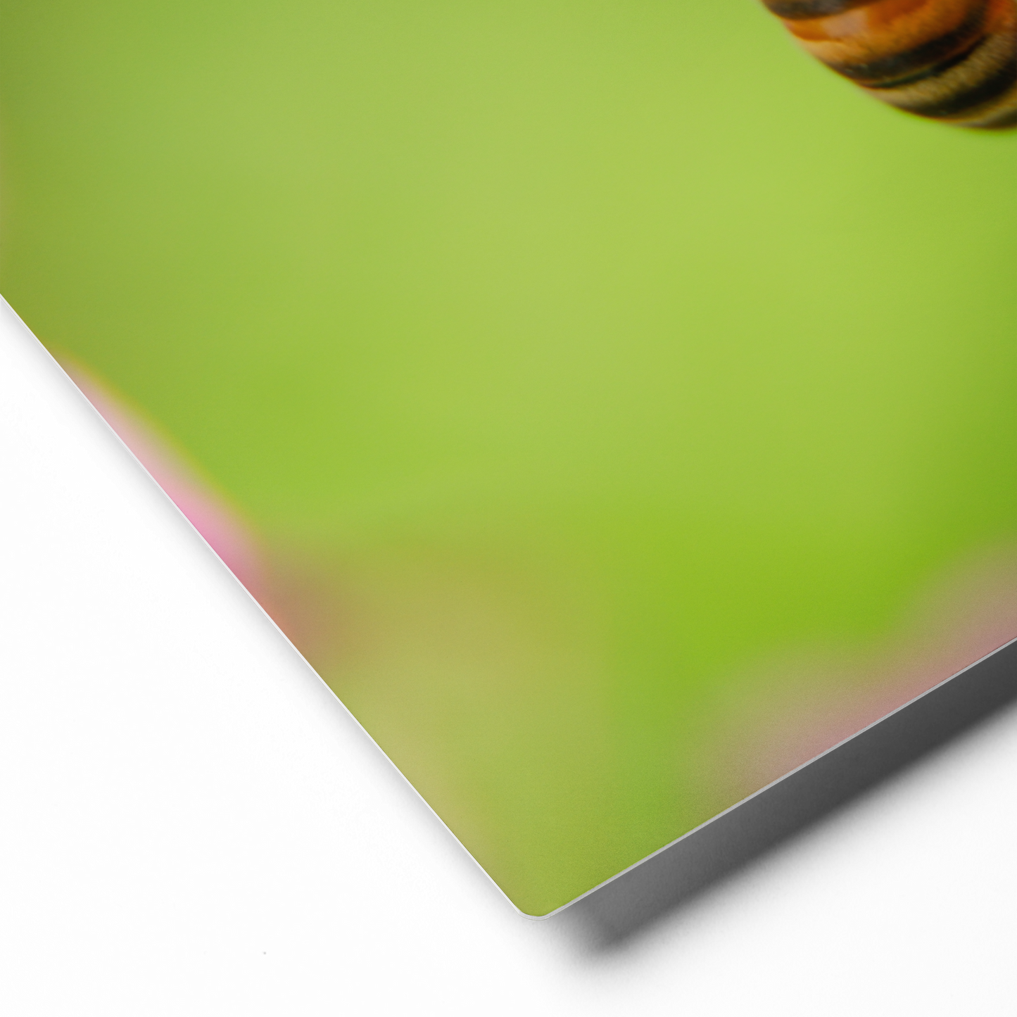 Bumblebee Wall Art, Garden, Flowers Decor