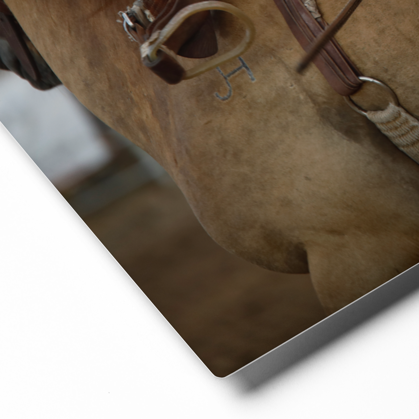 Job Hazards | Rodeo Pickup Man, Western Wall Art, Original Photography