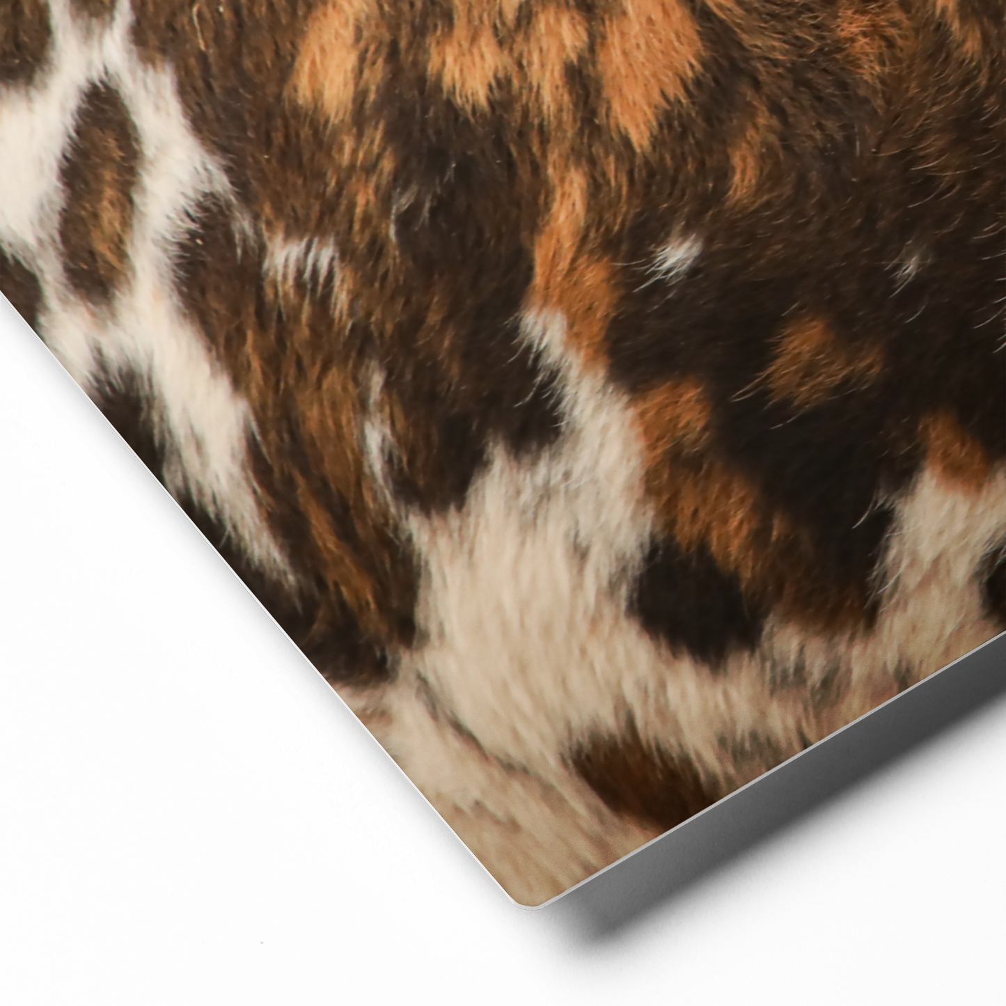 Brindle Cowhide Rustic Western Canvas Wall Art Farmhouse Decor