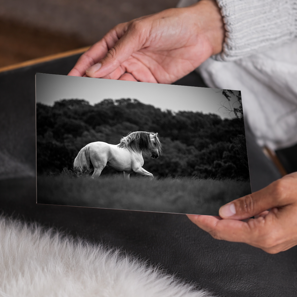 Grey Prancer | Beautiful Horse Wall Art | Black and White | Original Photography Home Decor