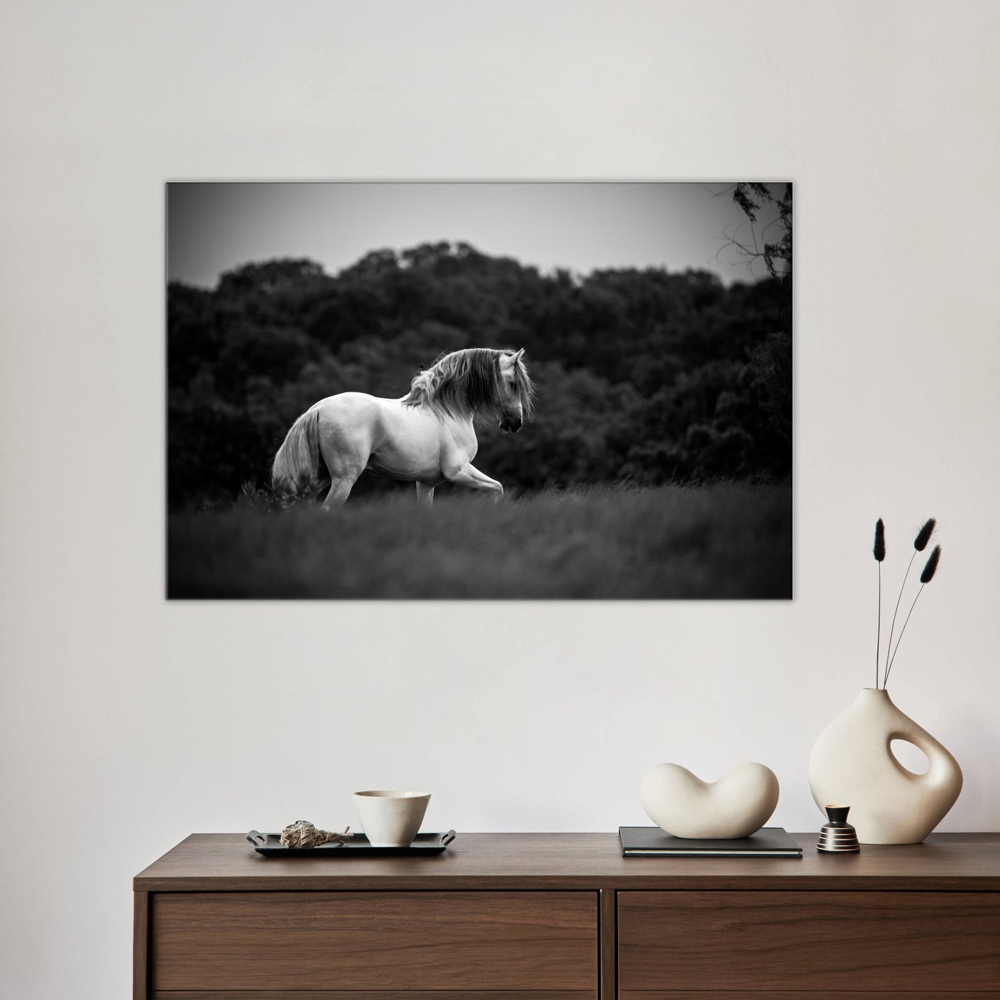 Grey Prancer | Beautiful Horse Wall Art | Black and White | Original Photography Home Decor