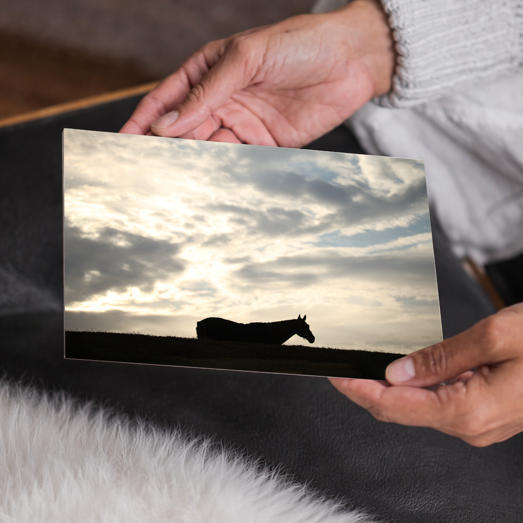 Horse on the Hill Silhouette | Canvas Wall Art | Equestrian Home Decor